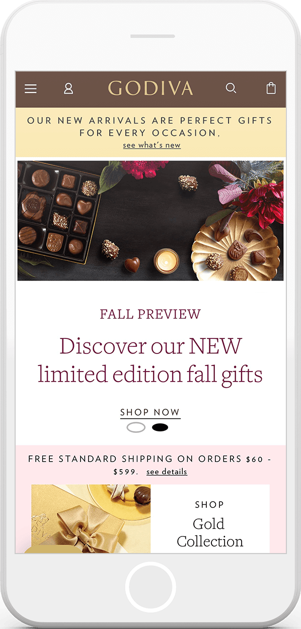 Godiva Website on iPhone